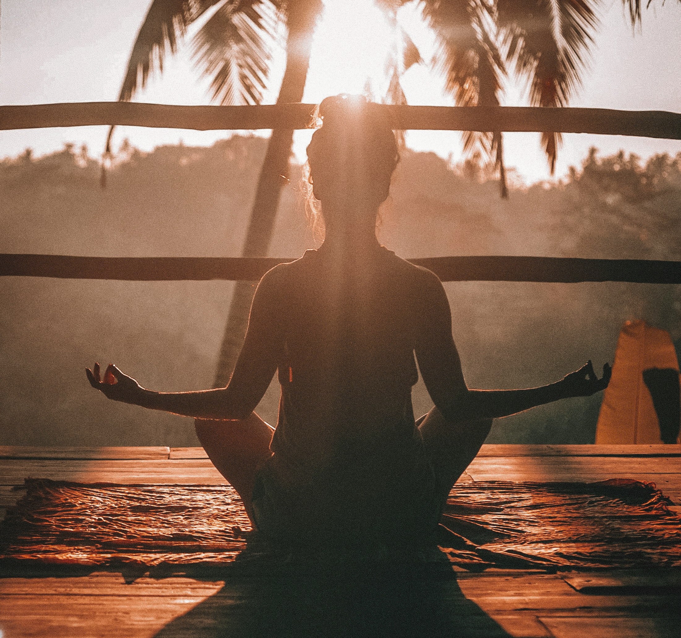 Integrative Women's Health